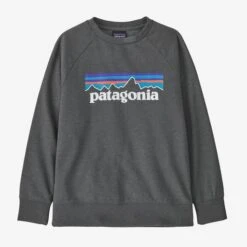 Patagonia Kid's Lightweight Crew Sweatshirt -KUHL Sales 21854 P6 LOGO FORGE GREY l