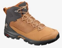 Salomon Outward GTX