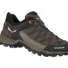 SALEWA Men's Mountain Trainer Lite GORE-TEX