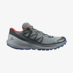 Salomon Men's Sense Ride 4 GTX Invisible Fit
