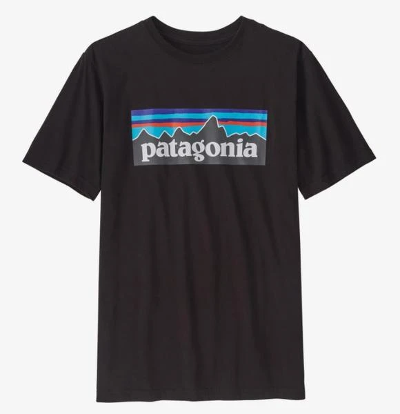Patagonia Boys Regenerative Organic Cotton P-6 Logo T 3 Patagonia Boys Regenerative Organic Cotton P-6 Logo T