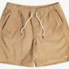 Quiksilver Men's Taxer Corduroy 18.5" Shorts