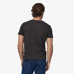 Patagonia Men's Regenerative Organic LW Tee -KUHL Sales lw20tee20alt202